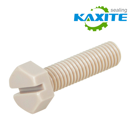 PEEK Fasteners